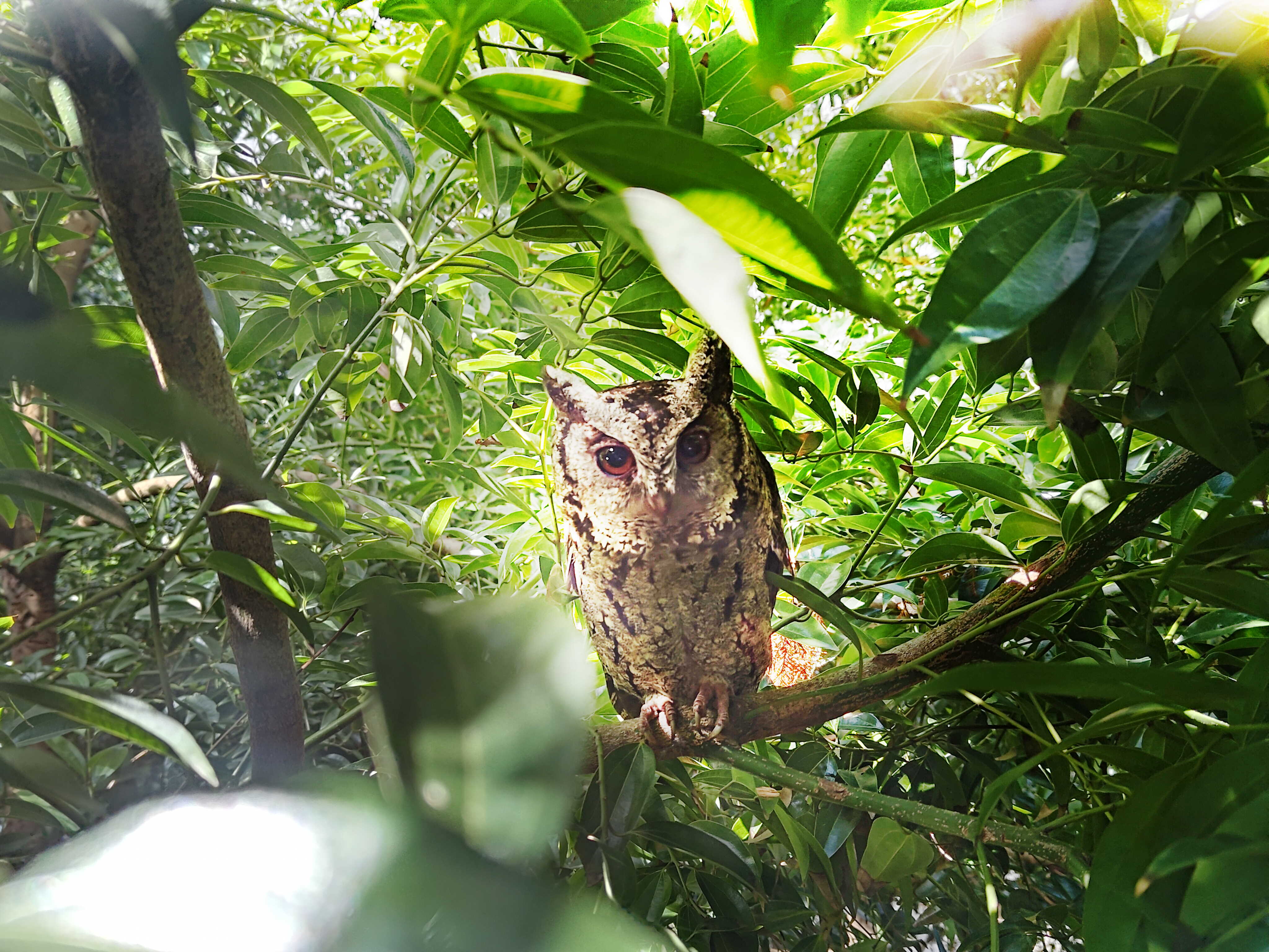 好体育全站登录平台致力提倡净零绿生活，16年以来在全球各厂区植树逾百万棵，造就各厂区树木蔚然成林，犹如森林工厂，成为许多生物的栖息地